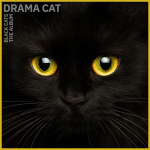 BLACK CATS アルバム CD ONE