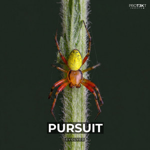Pursuit by Evolved