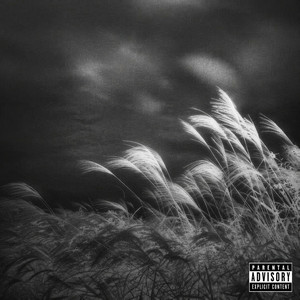 804 To 212 by nvrstlg