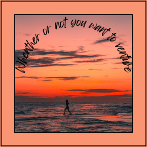 Ronaldo DE Paula - - Whether or Not You Want to Venture.