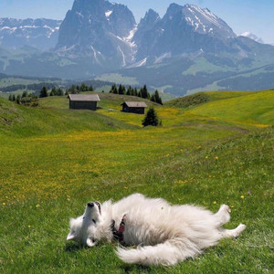 sweve! - Master Yourself