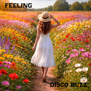 Feeling by Disco Buzz