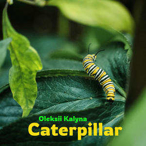 Caterpillar