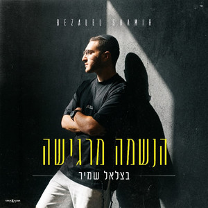 הנשמה מרגישה by בצלאל שמיר