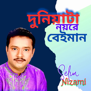 Selim Nizami - Hridoy Chire Dekhay Kare