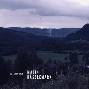 Wildfire (Single Version)