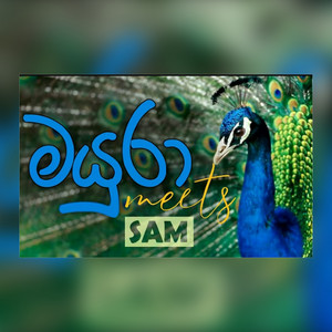 Samanala Athaudahetti - Mayura meets SAM