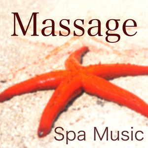 Spa Massage Music Zone poster