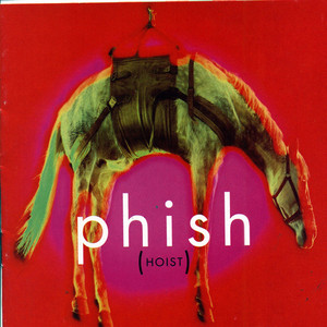 Hoist cover