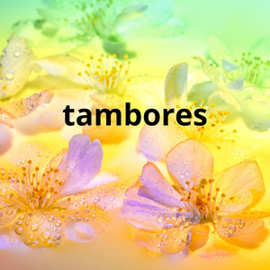 tambores by La Pantera HD