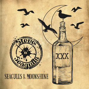 Seagulls and Moonshine