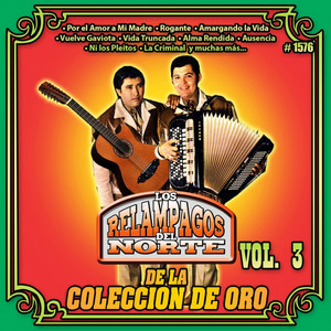 Portada de La Criminal