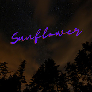 Sunflower by Josh Rolffs