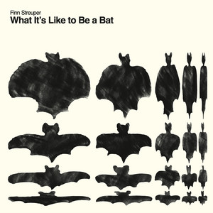 Finn Streuper - What It's Like to Be a Bat 15