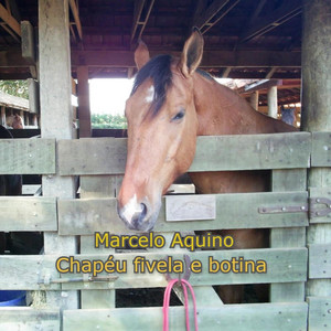 Marcelo Aquino - Buckle hat end boot