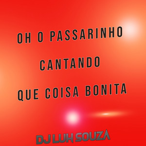 Dj Luh Souza - Oh O Passarinho Cantando Que Coisa Bonita