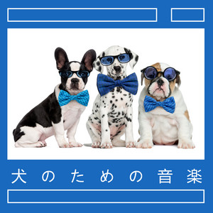 犬の家 Song And Lyrics By リラックスできるペットアカデミー Spotify