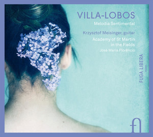 アート・デザイン・音楽 VILLA LOBOS