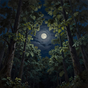 Enchanted Forest by Coatk