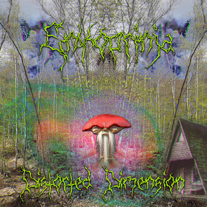 Enkoprinja poster