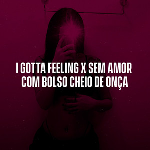 I Gotta Feeling X Sem Amor Com Bolso Cheio de Onça
