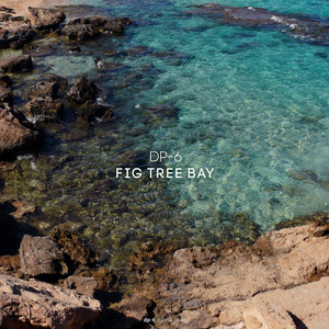 Fig Tree Bay by DP-6