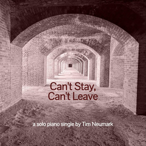 Can't Stay, Can't Leave by Tim Neumark