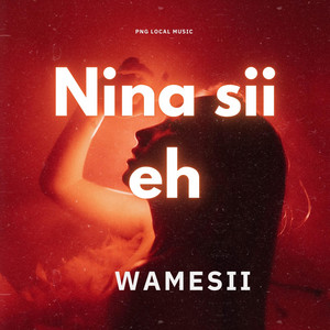 AB Nane - Nina Sii Eh WAMESII