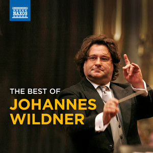 The Best of Johannes Wildner