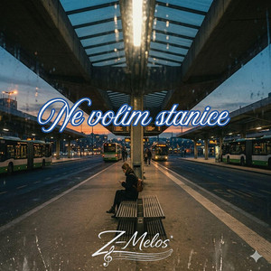 Ne volim stanice