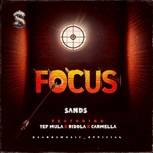 Focus (feat. carmella)