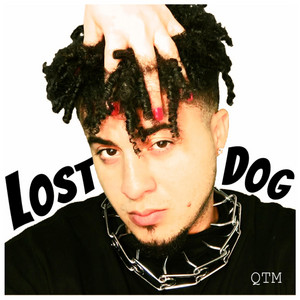 Lost Dog