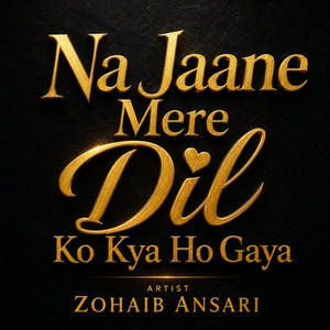 Na Jaane Mere Dil Ko Kya Ho Gaya by Zohaib Ansari