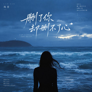 删了你却删不了心 - Female Version by 岚音