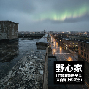 野心家（可是我啊听见风来自海上和天空）｜氛围感R&B｜孤独野心版｜沉浸版｜越听越有画面感_1 by 徐曼香