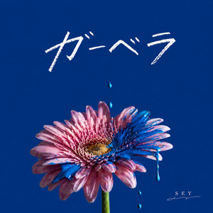 ガーベラ by SEY