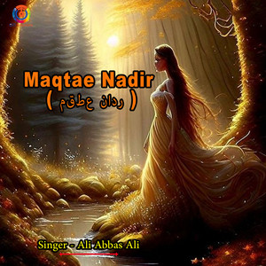 AMZAD ALI - When The Devine Reaches The Heaven