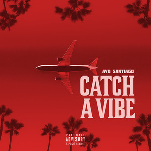 Catch a Vibe by Ayo Santiago