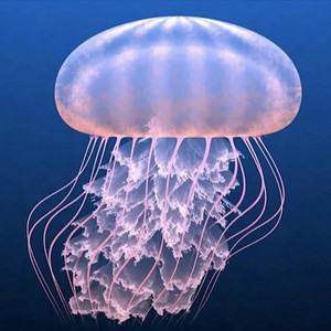 Awesome - Awesome Yellow