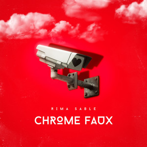 Chrome Faux by Rima Sable