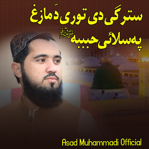 Asad Muhammadi - Sterge De Tore Da Maza