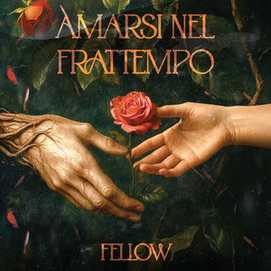 Fellow - Amarsi nel frattempo