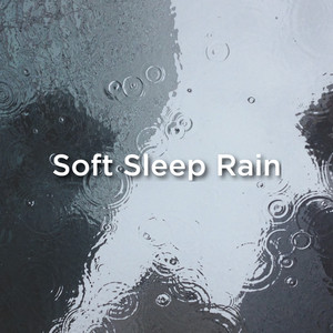 Rain Sounds, BodyHI & Rain for Deep Sleep - Birds and Rain