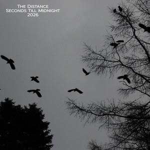 The Distance (2026 Version) Art