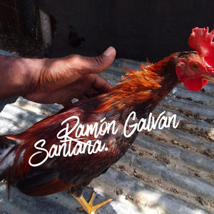 Epic Vibe Tonight by Ramón Galván Santana