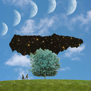 Our Tree cover art