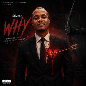 Why by $ilverJ