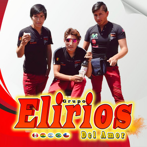 Grupo Elirios Del Amor - Te Amaré