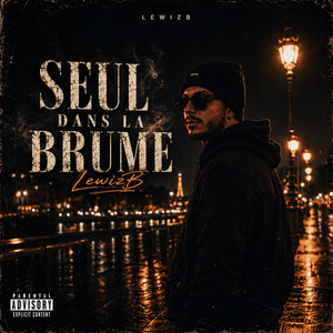 Seul dans la brume by LewizB