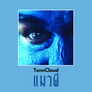 TennCloud - แมวผี